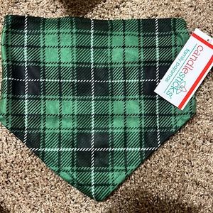 Pet bandana. New